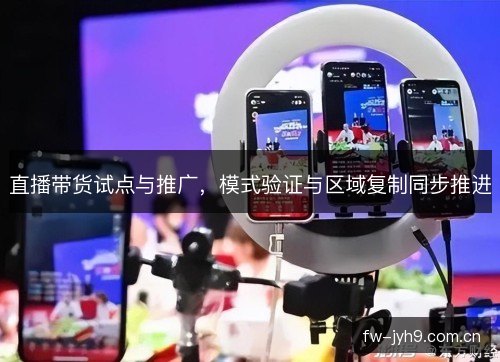 直播带货试点与推广，模式验证与区域复制同步推进